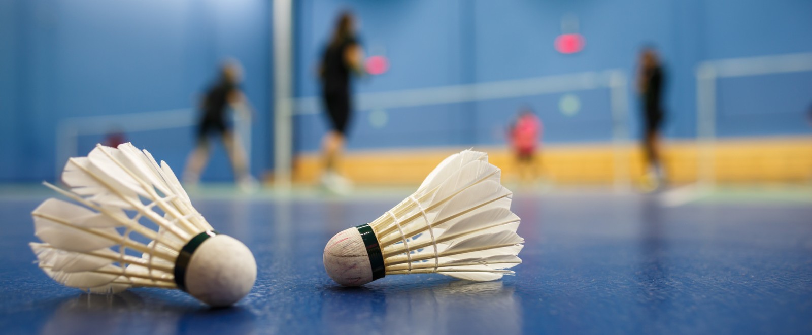 badminton_f_49001057