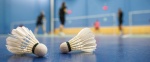 badminton f 49001057