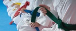 judo f 96684378